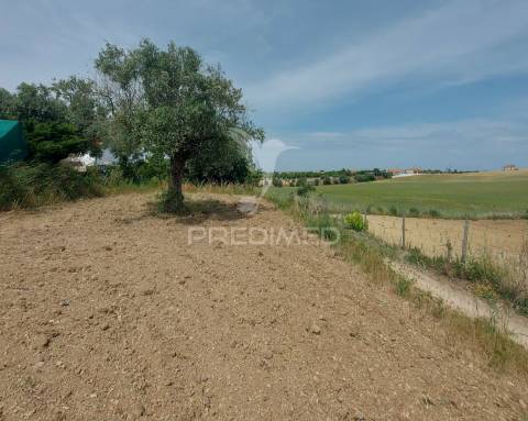 Moradia t2 para recuperar comterreno com 5.394m2 , santarém.