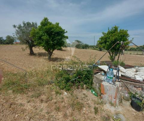 Moradia t2 para recuperar comterreno com 5.394m2 , santarém.