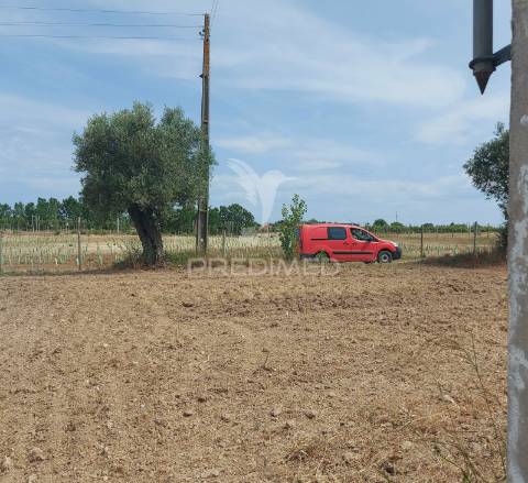 Moradia t2 para recuperar comterreno com 5.394m2 , santarém.