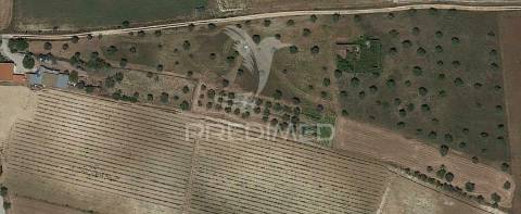 Moradia t2 para recuperar comterreno com 5.394m2 , santarém.