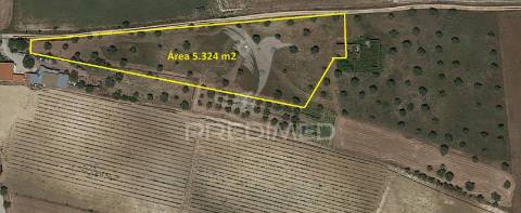 Moradia t2 para recuperar comterreno com 5.394m2 , santarém.