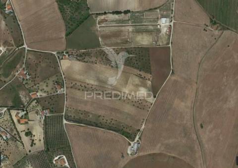 Moradia t2 para recuperar comterreno com 5.394m2 , santarém.