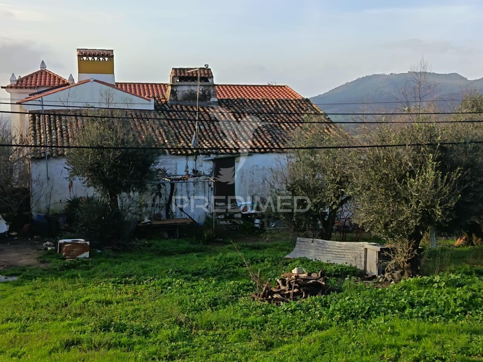 Terreno no centro das carreiras