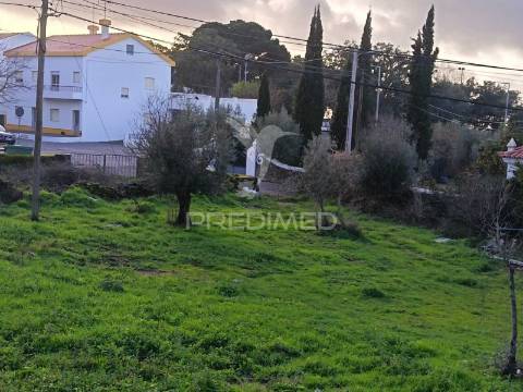 Terreno no centro das carreiras