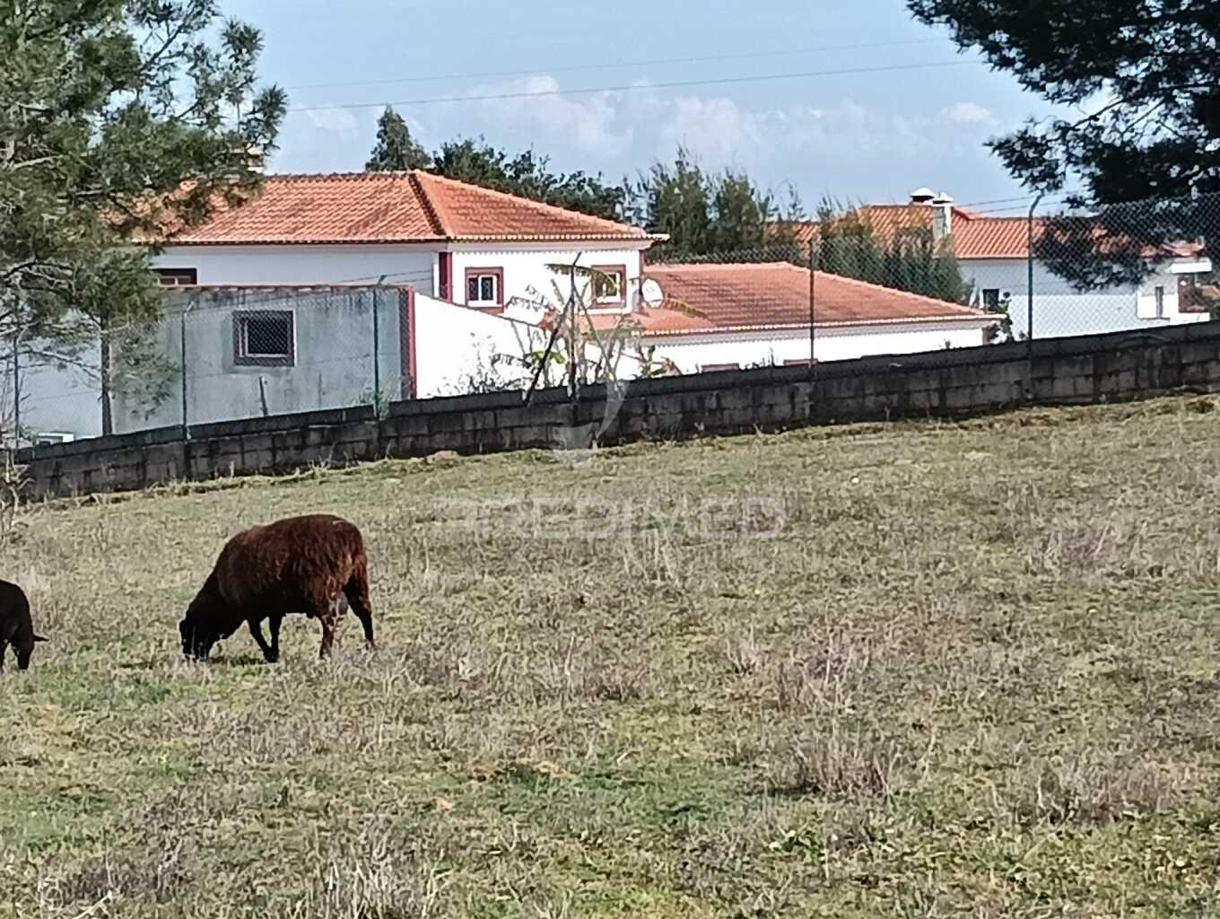 Terreno de 6.200m2 na lapa (cartaxo)