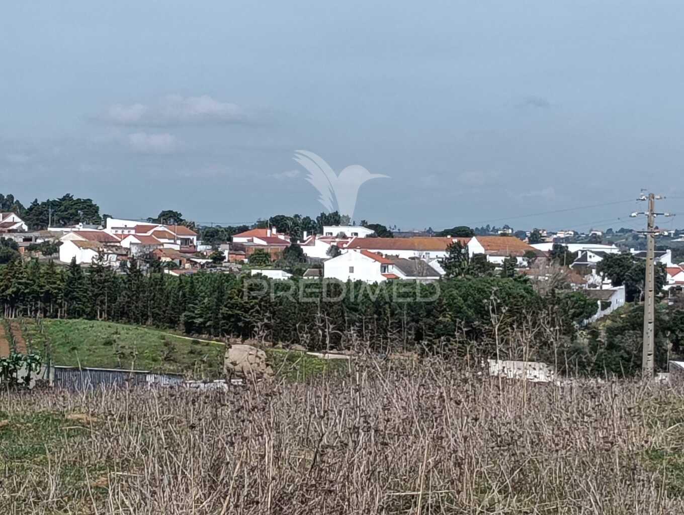 Terreno de 6.200m2 na lapa (cartaxo)