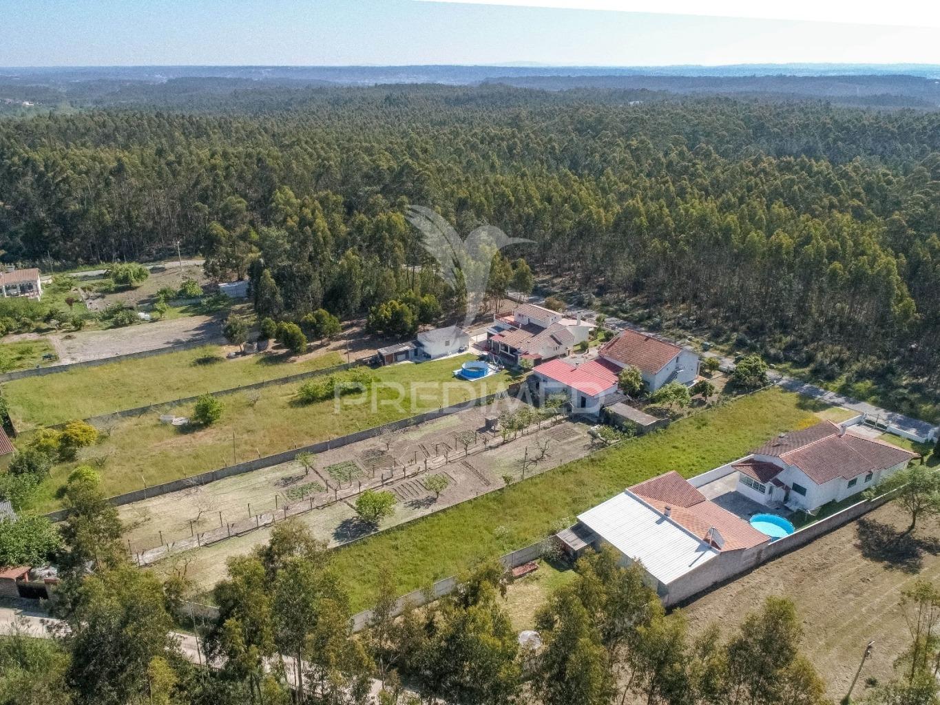 Oportunidade unica de construção em matos verdes - marinha grande