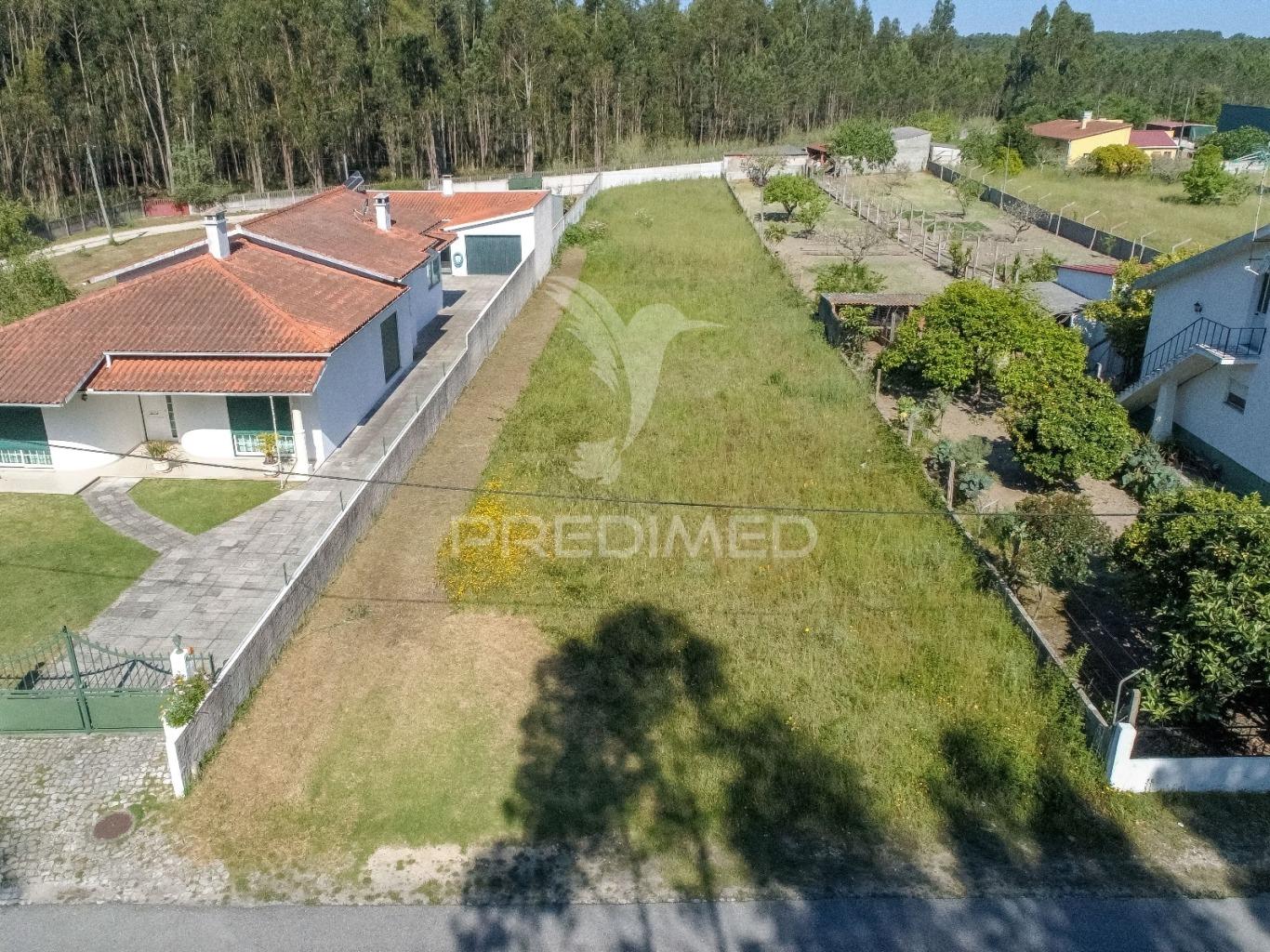 Oportunidade unica de construção em matos verdes - marinha grande