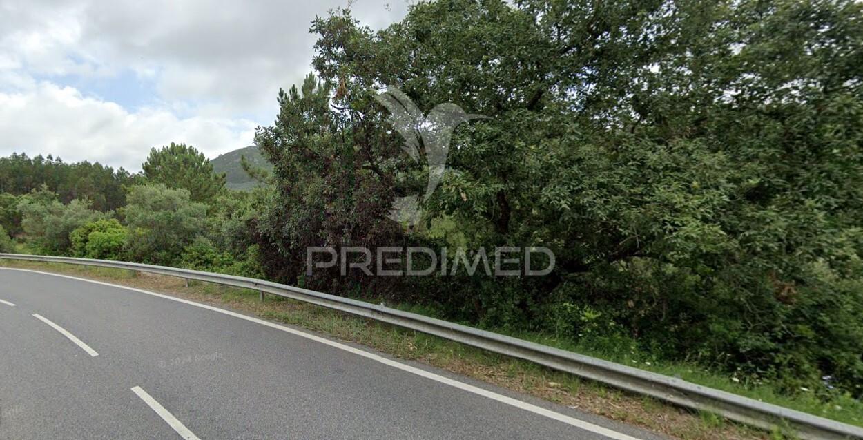 Terreno rústico com 2560m2 no cadaval