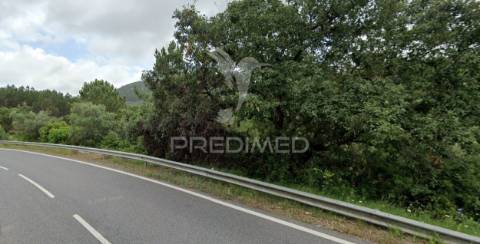 Terreno rústico com 2560m2 no cadaval
