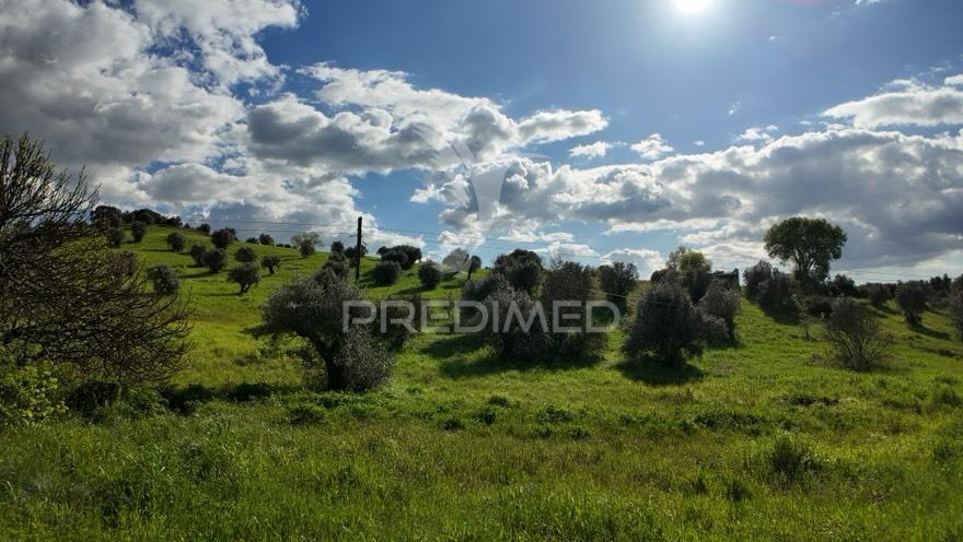 Terreno rústico para construção – pousados, alcanena