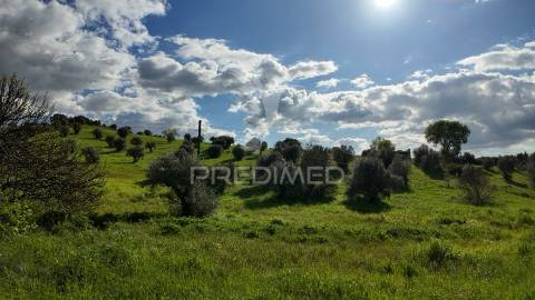 Terreno rústico para construção – pousados, alcanena