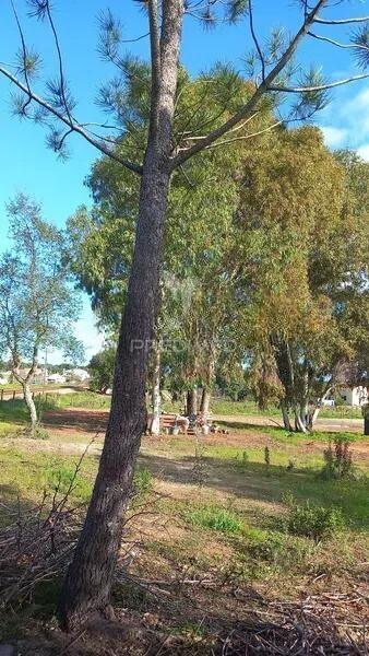 Terreno rústico a venda em zona privilegiada