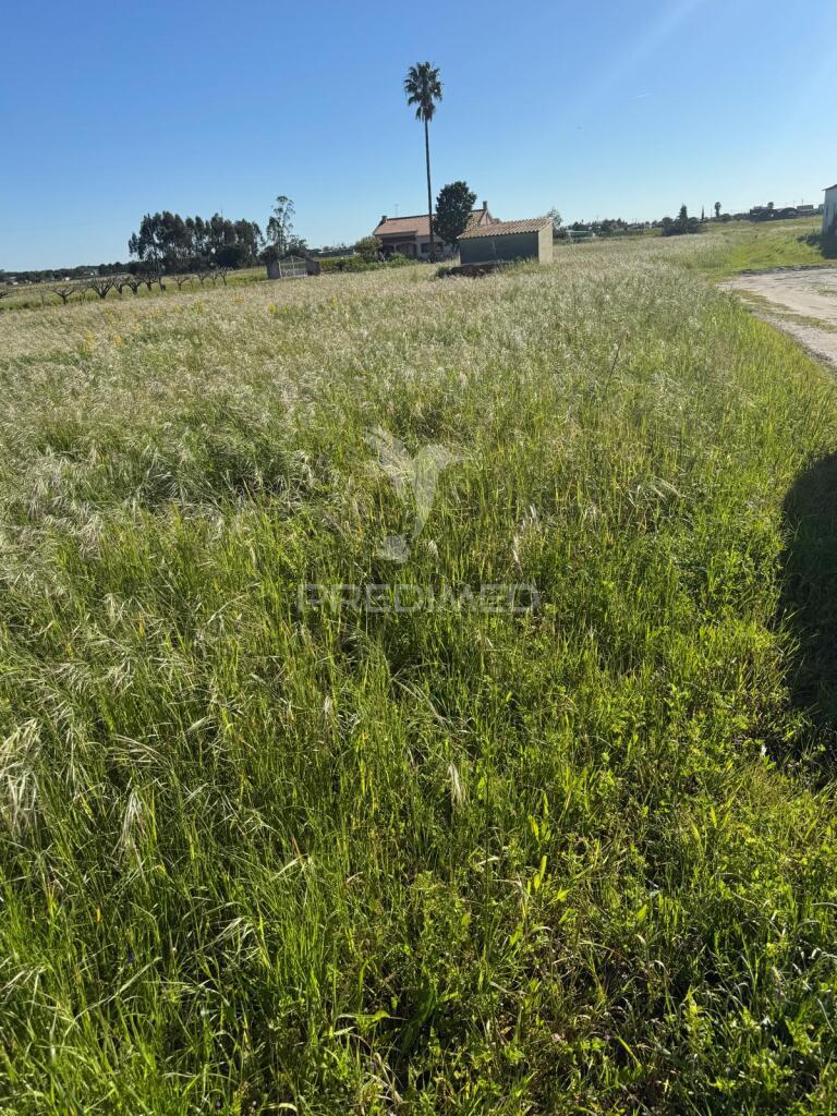 Terreno misto a venda