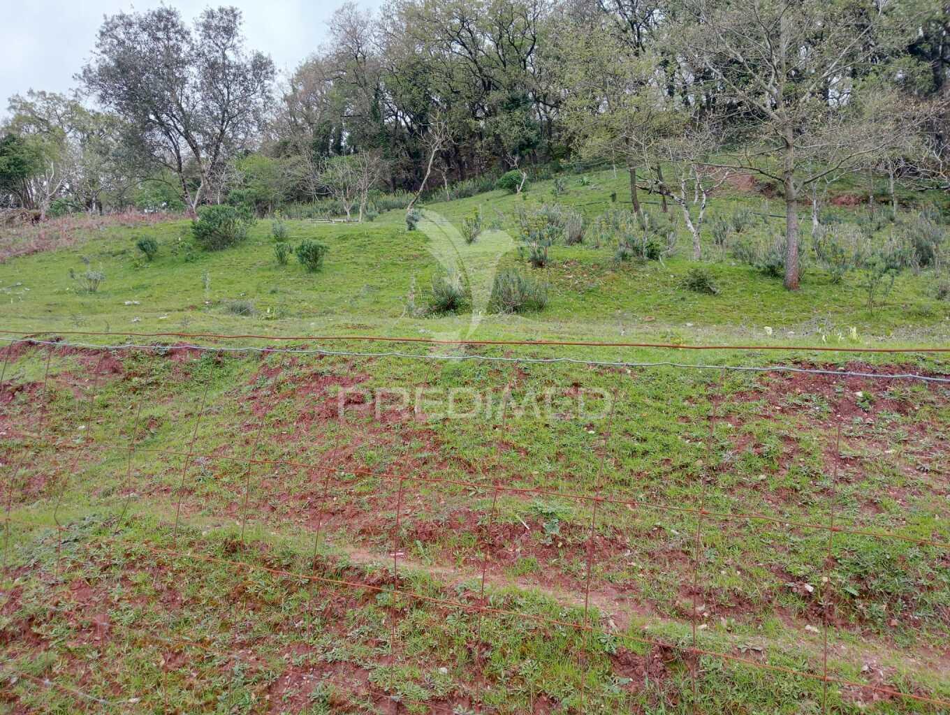Lote urbano para construção  - porto de mós
