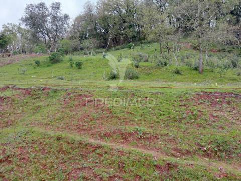 Lote urbano para construção  - porto de mós