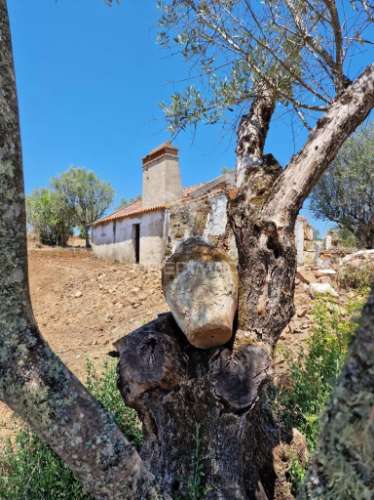 Monte alentejano em montargil