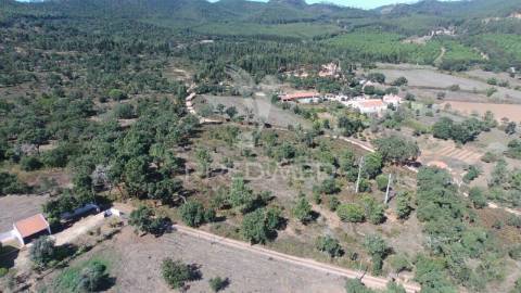 Terreno com montado, são luís, odemira