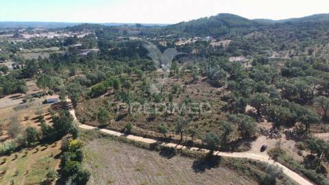 Terreno com montado, são luís, odemira