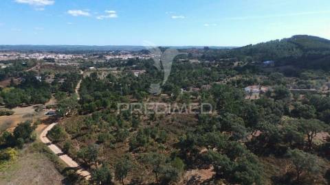 Terreno com montado, são luís, odemira