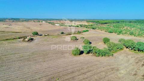 Terreno com ruína perto de porto covo