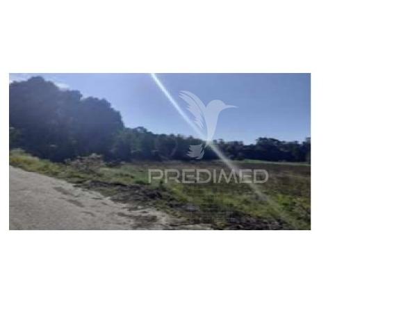 Terreno rústico – ervosa, bougado (trofa)