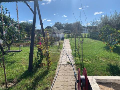 Moradia t4 com piscina e sauna