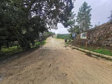 Quintinha rural