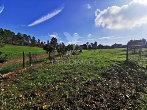 Quintinha rural