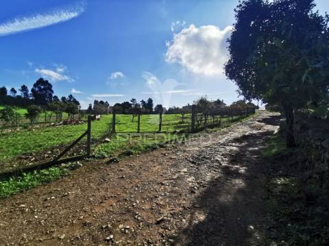 Quintinha rural