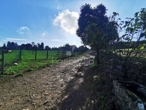 Quintinha rural