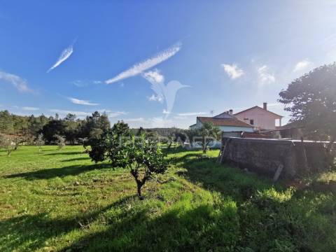 Quintinha rural