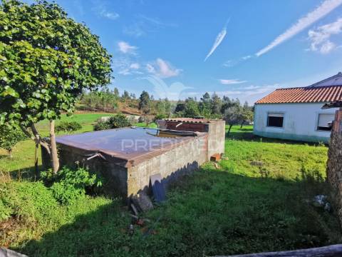 Quintinha rural