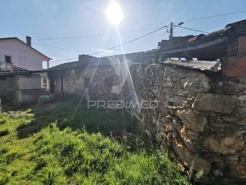 Quintinha rural