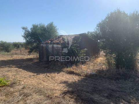 Propriedade de 10,7 hectares com vinha e olival doc