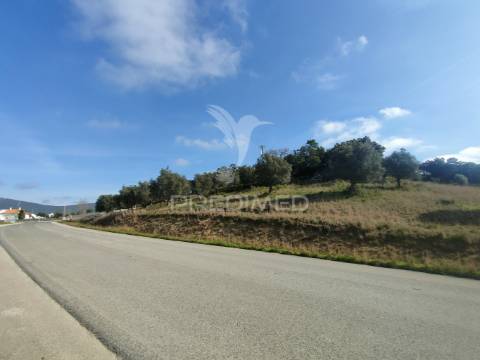 Terreno rústico - vila moreira, alcanena