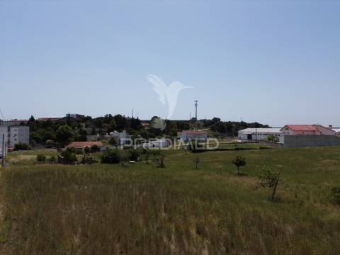 Terreno rústico - vila moreira, alcanena