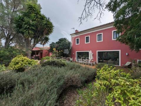 Quinta com casa senhorial reconstruída, em moncarapacho