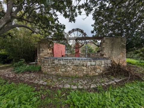 Quinta com casa senhorial reconstruída, em moncarapacho