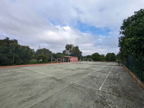 Quinta com casa senhorial reconstruída, em moncarapacho
