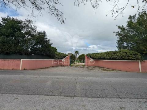 Quinta com casa senhorial reconstruída, em moncarapacho