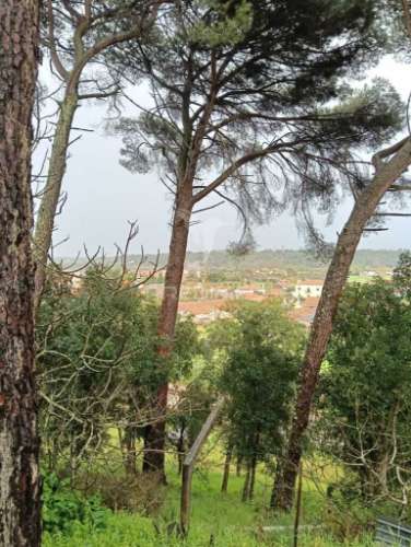 Moradia térrea t4 em tomar