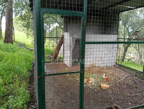 Moradia térrea t4 em tomar