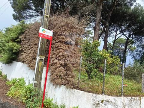 Moradia térrea t4 em tomar