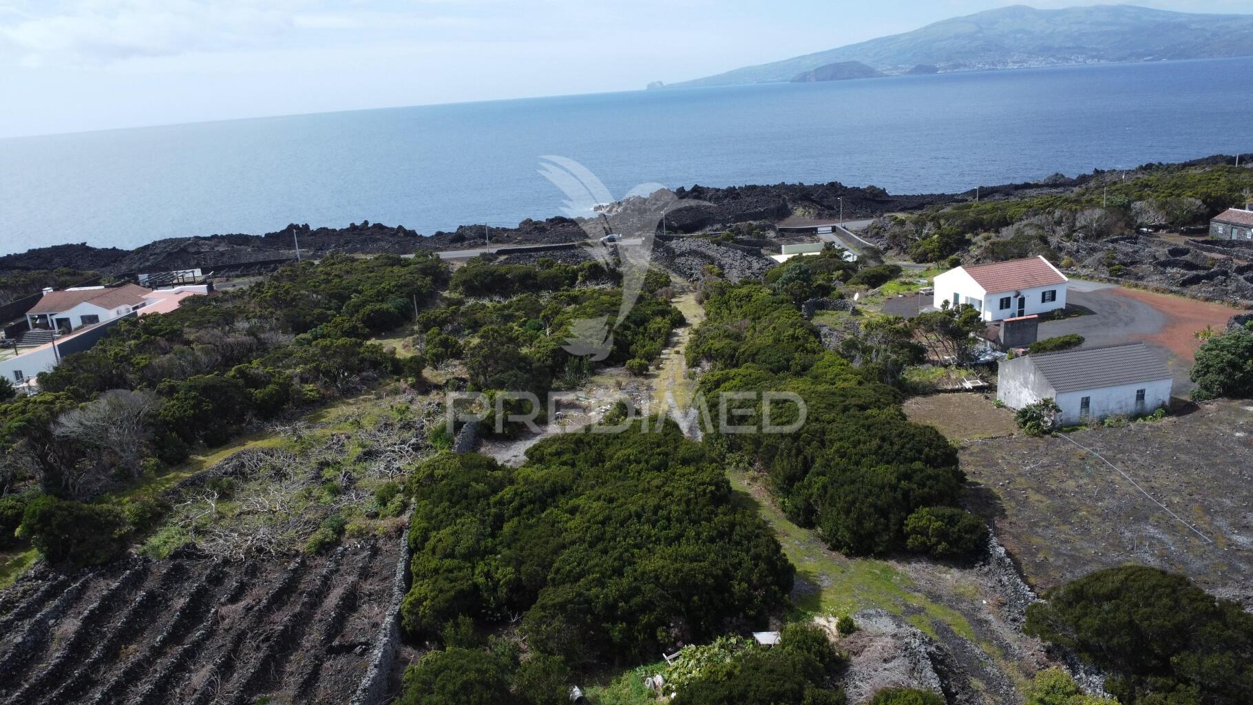 Terreno com viabilidade de construção no monte, candelária