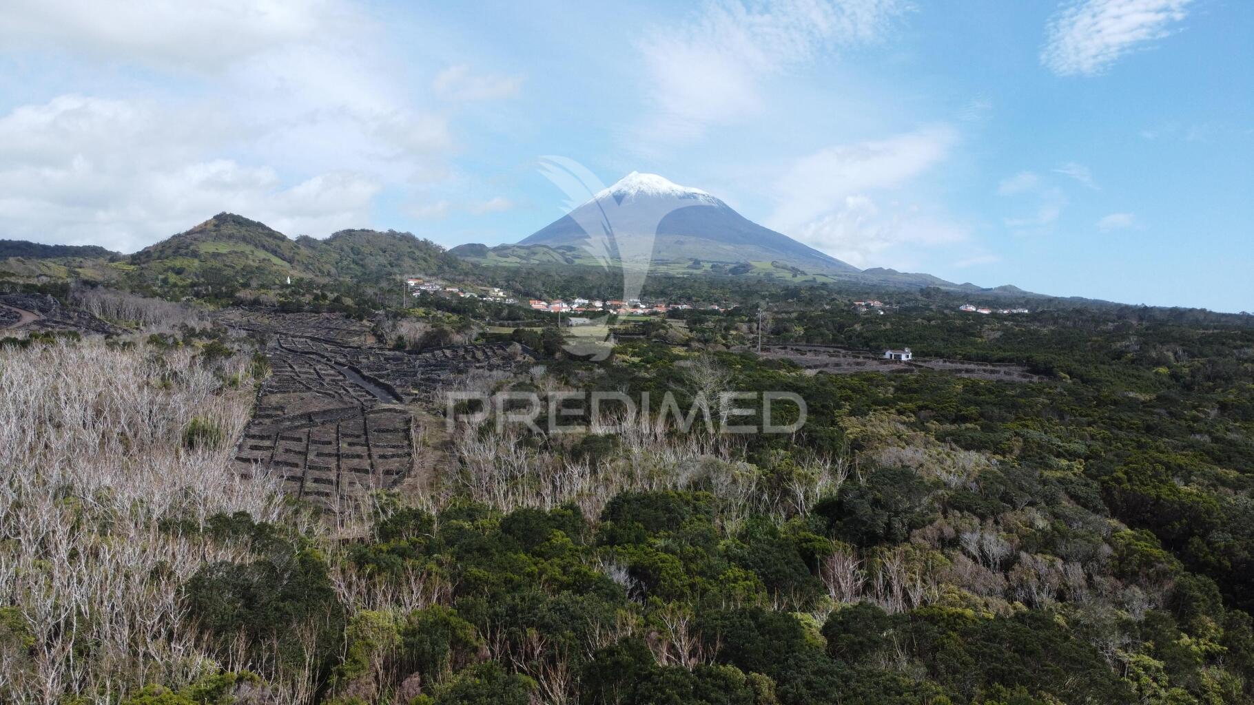 Terreno com viabilidade de construção no monte, candelária