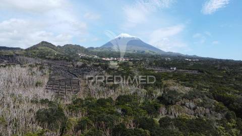 Terreno com viabilidade de construção no monte, candelária