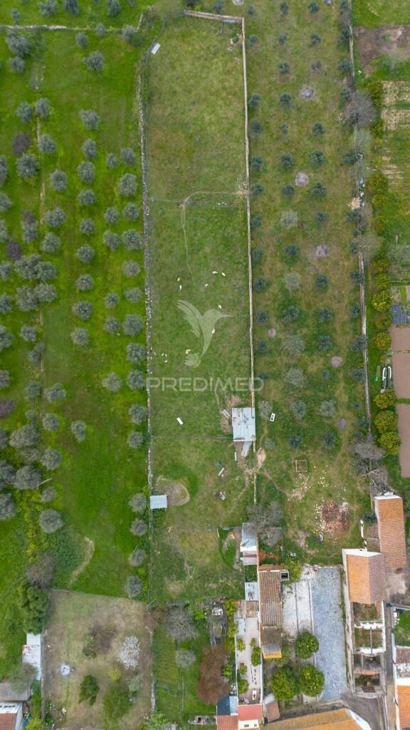3 moradias com logradouro de 2750m2, em bencatel