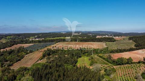 Moradia t3 vista campo