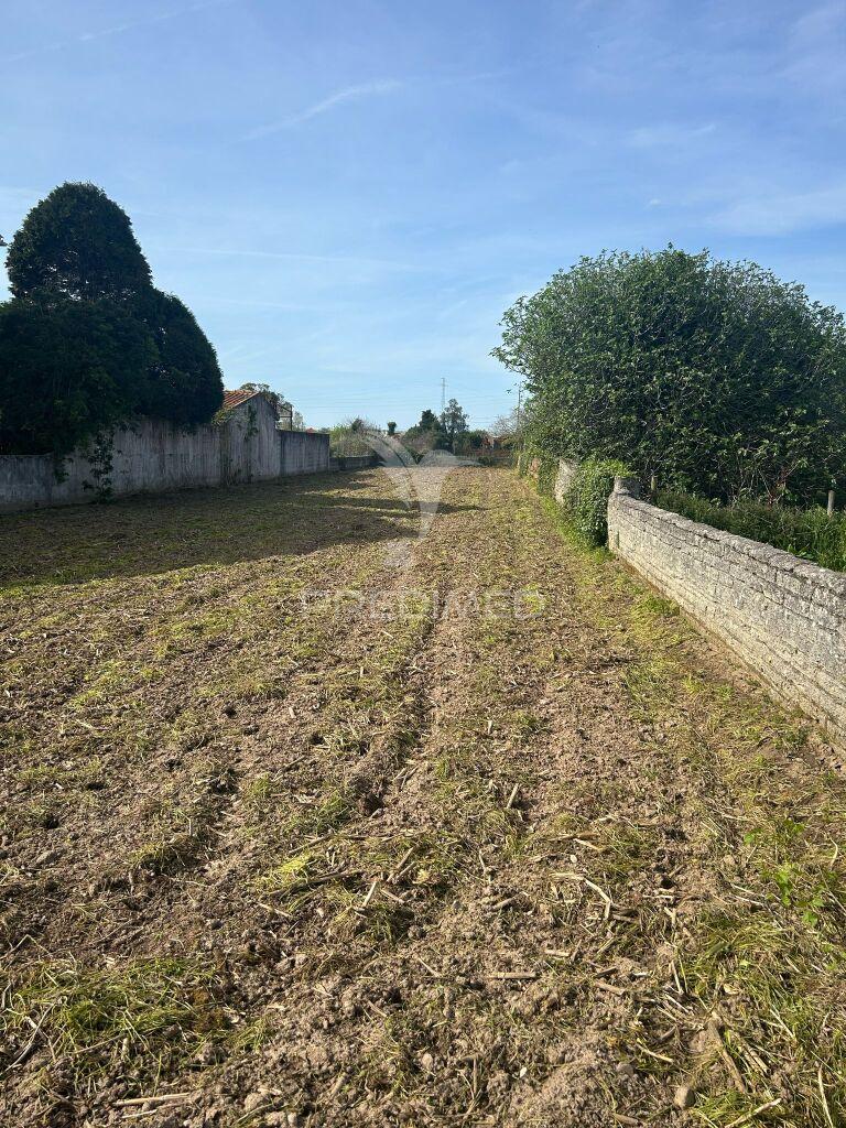 Terreno rústico, coutada, ílhavo, aveiro – 840 m² com viabilidade para moradia isolada